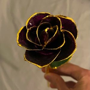I hate Steven Singer purple gold dipped rose